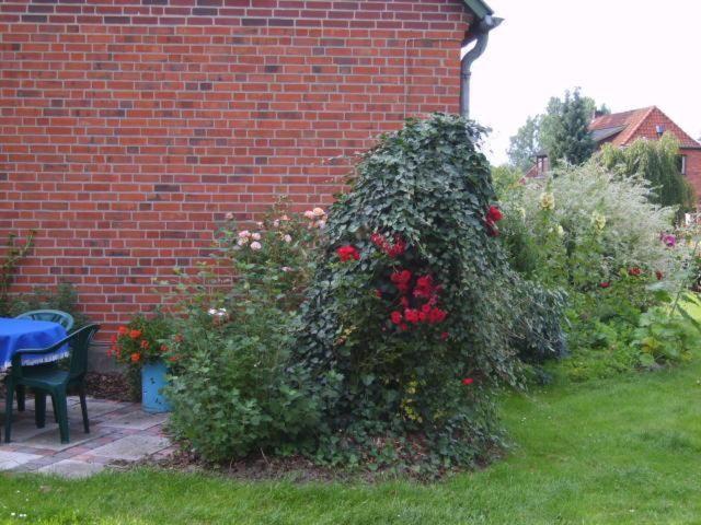 Apartamento Landblick Nahrendorf Exterior foto